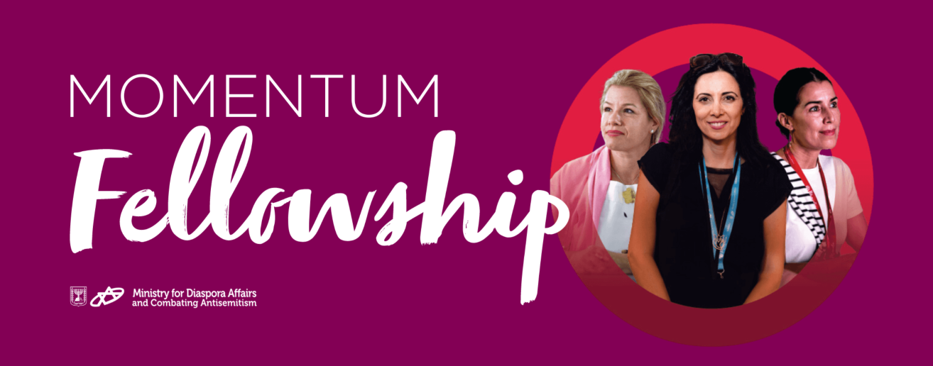 Momentum Fellowship